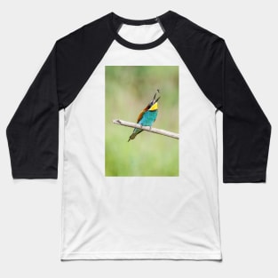 European bee-eater (Merops apiaster) Baseball T-Shirt